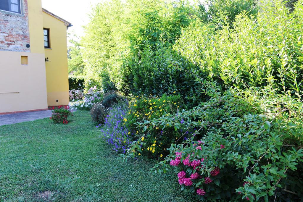 Agriturismo Poggio Al Tesoro Crespina Extérieur photo